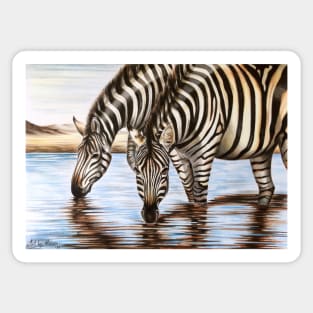 Zebras Sticker